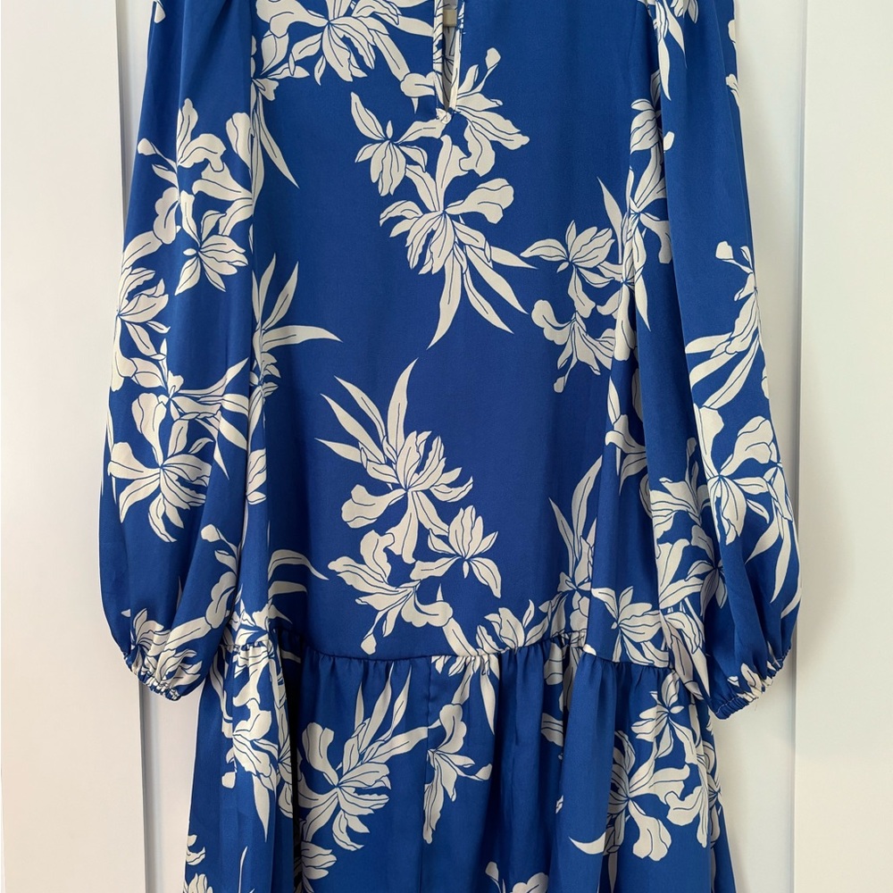 Blue Floral Long Sleeve Dress